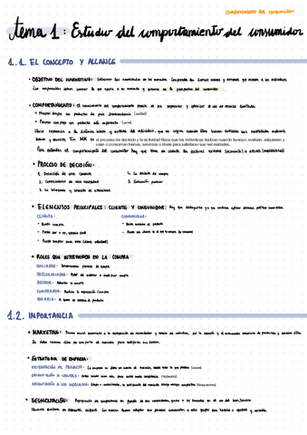 Teorica-Comportamiento-Del-Consumidor.pdf