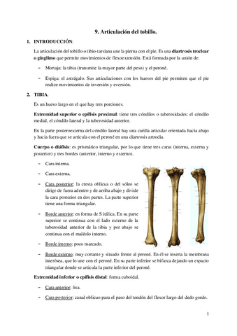 9.-Articulacion-del-tobillo.pdf