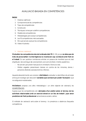 PG.-Ambit-Organitzacional.pdf