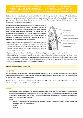 Preventiva-Tema-12.pdf