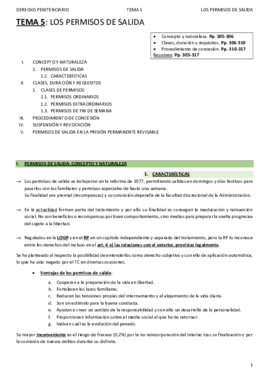 DERECHO_PENITENCIARIO_T5_ANDREA.pdf