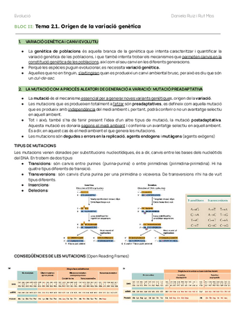 BLOC-II-EVOLUCIO.pdf