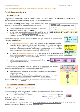 BLOC-II-BIOQUIMICA.pdf