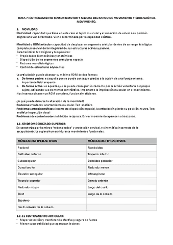 RESUMEN-READAPTACION.pdf