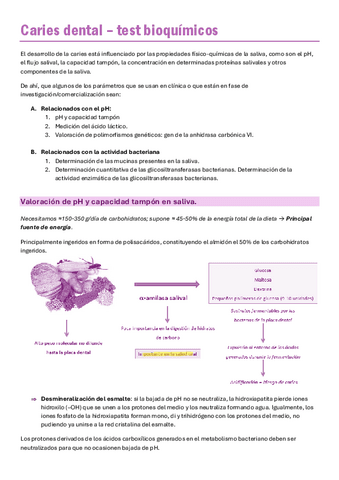 8.-Caries-y-pruebas-bioquimicas.pdf