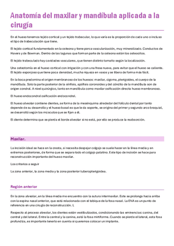 13.-Anatomia-maxilar-y-mandibula.pdf