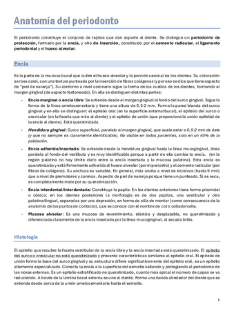 14.-Anatomia-del-periodonto.pdf