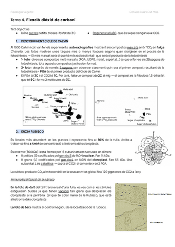 TEMAS-4-5-6-FISIO-VEG.pdf