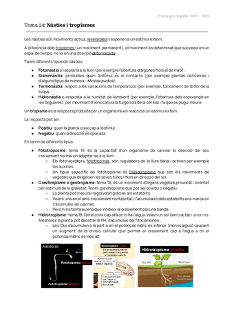 TEMAS-24-A-26-FISIO-VEG.pdf