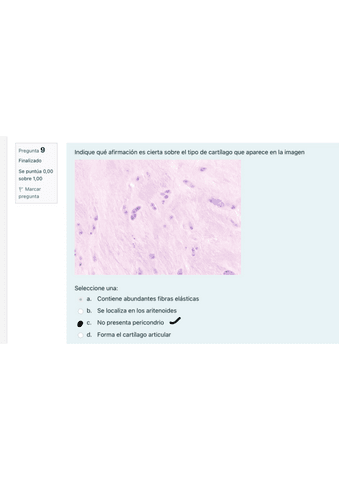 Cuestionario-Practica-8-Cartilago.pdf