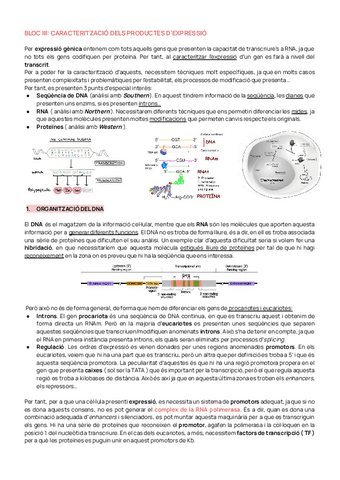 BLOC-III-ENGINYERIA-GENETICA.pdf