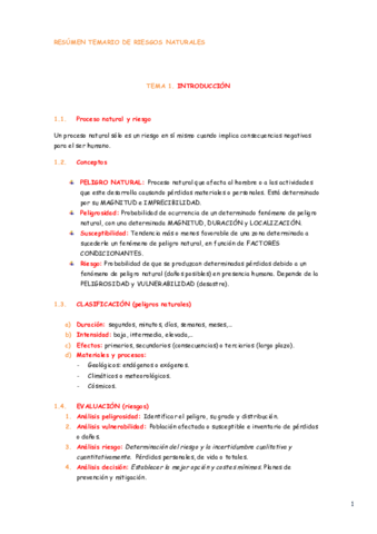 RESÚMEN TEMARIO DE RIESGOS NATURALES.pdf
