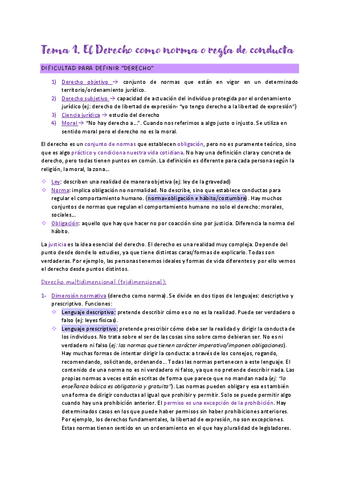 Tema-1-el-derecho-como-norma-o-regla-de-conducta.pdf