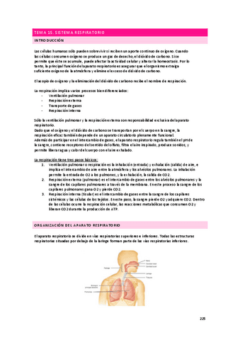 apuntes-fisiologia-respiratorio.pdf