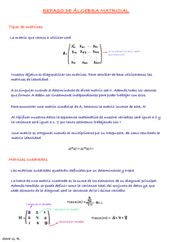 Tema 0. Repaso Álgebra Matricial.pdf
