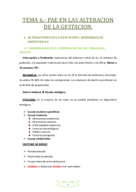 TEMA 6 (mio).pdf