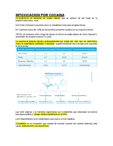 INTOXICACION-POR-COCAINA.pdf