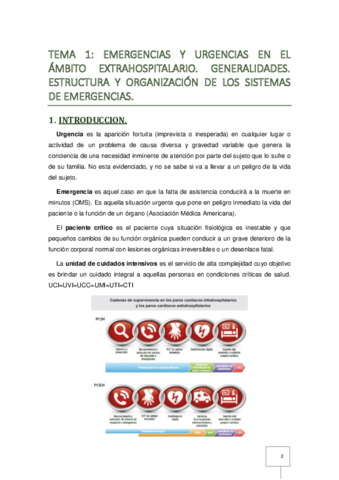 Tema 1 - Servicios de Cuidados Críticos (mio).pdf