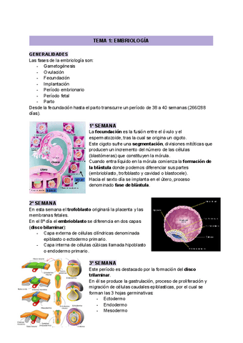 Tema-1-Embriologica.pdf.pdf