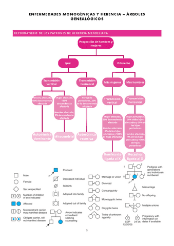 Esquemas-Genetica-Problemas-de-enfermedades-monogenicas-y-herencia.pdf