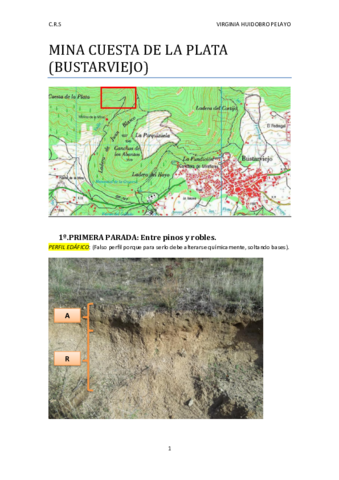 Salida mina Cuesta de la Plata.pdf