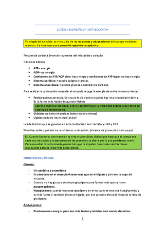 TEMA-1-SISTEMA-ENERGETICO.pdf