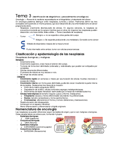 apuntes-completos-UF2-M03.pdf