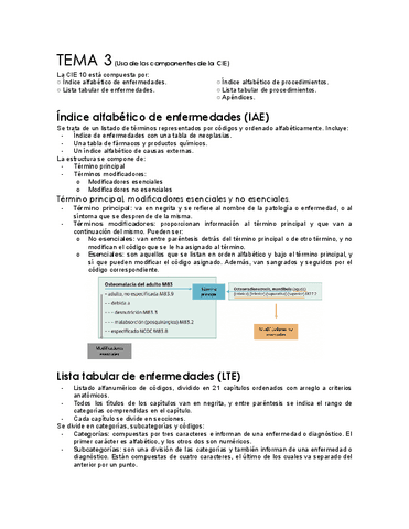 apuntes-completos-UF2-M05.pdf