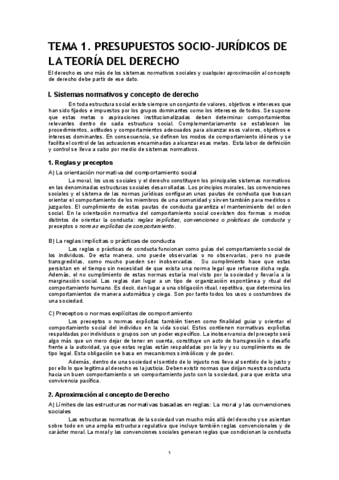 Apuntes completos Teoria del Derecho.pdf