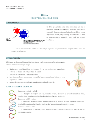 TEMA-1-ADULTO-II.pdf