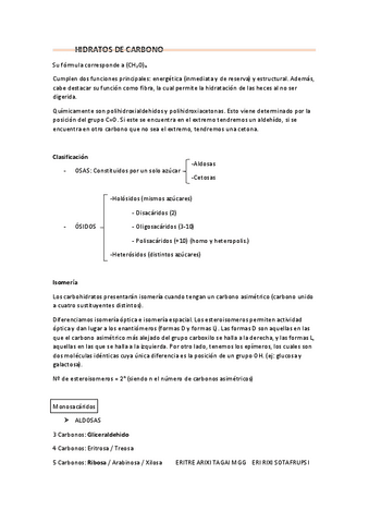 Apuntes-bioquimica-Isabel-Higueras-Fisioterapia.pdf