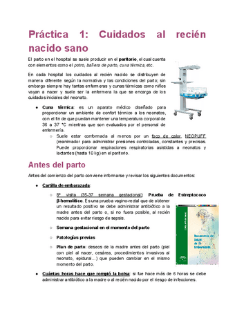 Practica-1-de-Infancia-Recien-nacido-sano.pdf