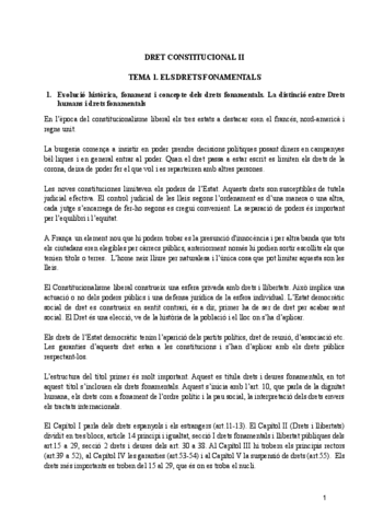 TEMARIO-ENTERO-DRET-CONSTITUCIONAL-II.pdf