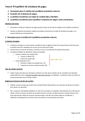 Tema 6.pdf