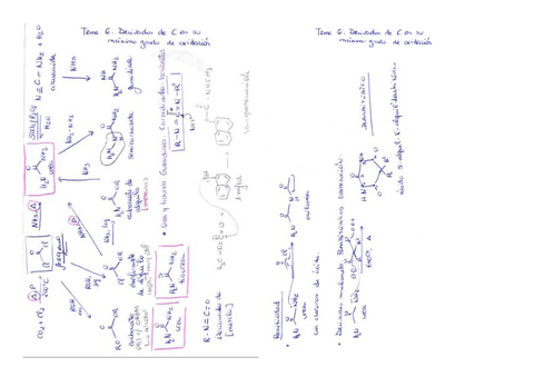 t6.pdf