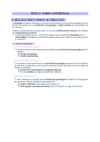 T2-Marco-Conceptual.pdf