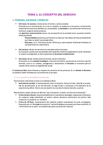 TEMARIO-TEORIA-DEL-DERECHO.pdf