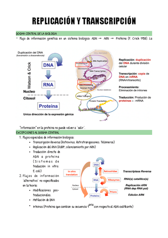 TEMA-1.pdf