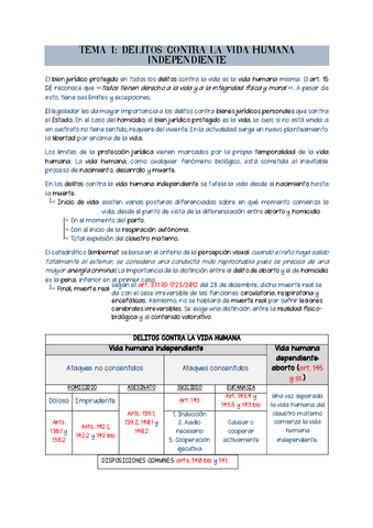 TEMARIO-COMPLETO-DERECHO-PENAL-II.pdf