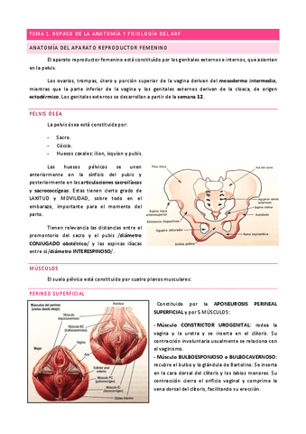 TEMA-1.-Anatomia-y-Fisiologia-del-Aparato-Reproductor-Femenino.pdf