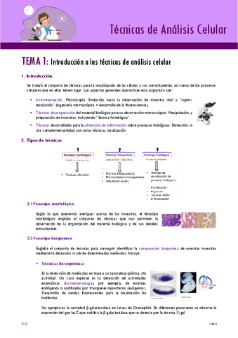 TEMA-1.pdf