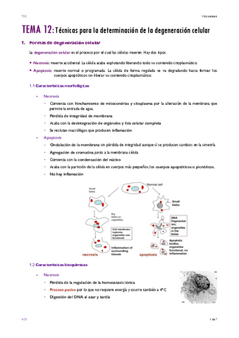 TEMA-12.pdf
