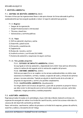 RESUMEN AIEA II.pdf