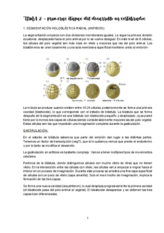 TEMA-2-DESARROLLO.pdf