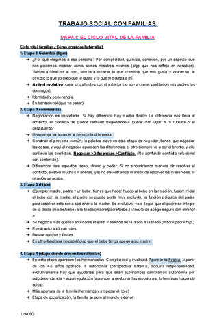 Apuntes-completos-TS-CON-FAMILIAS-pdf.pdf