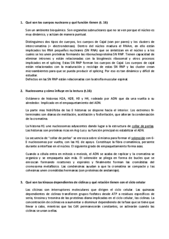 Preguntas-segundo-parcial.pdf