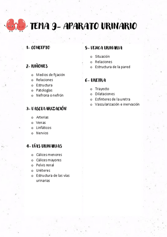 TEMA-9-APARATO-URINARIO.pdf
