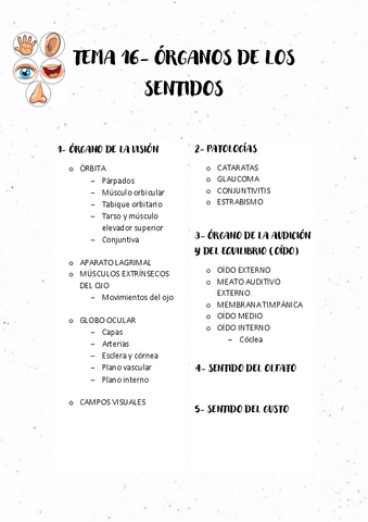 TEMA-16-ORGANOS-DE-LOS-SENTIDOS.pdf