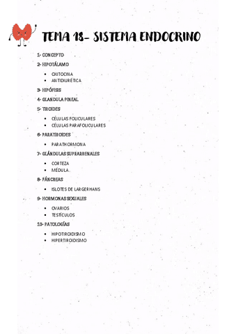 TEMA-18-SISTEMA-ENDOCRINO.pdf