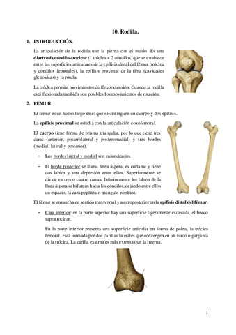 10.-Rodilla.pdf